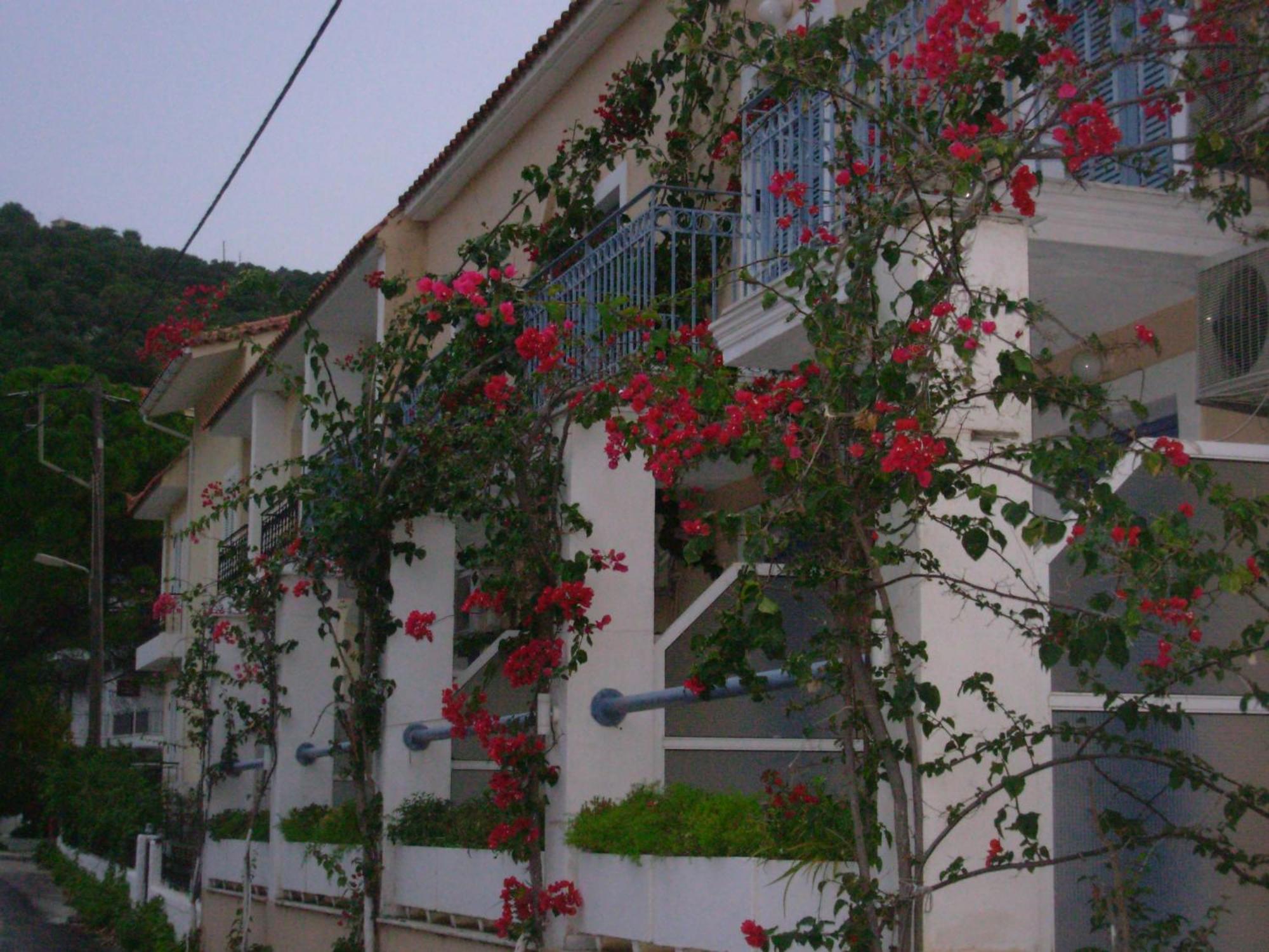Louisa Studios Poros  ภายนอก รูปภาพ