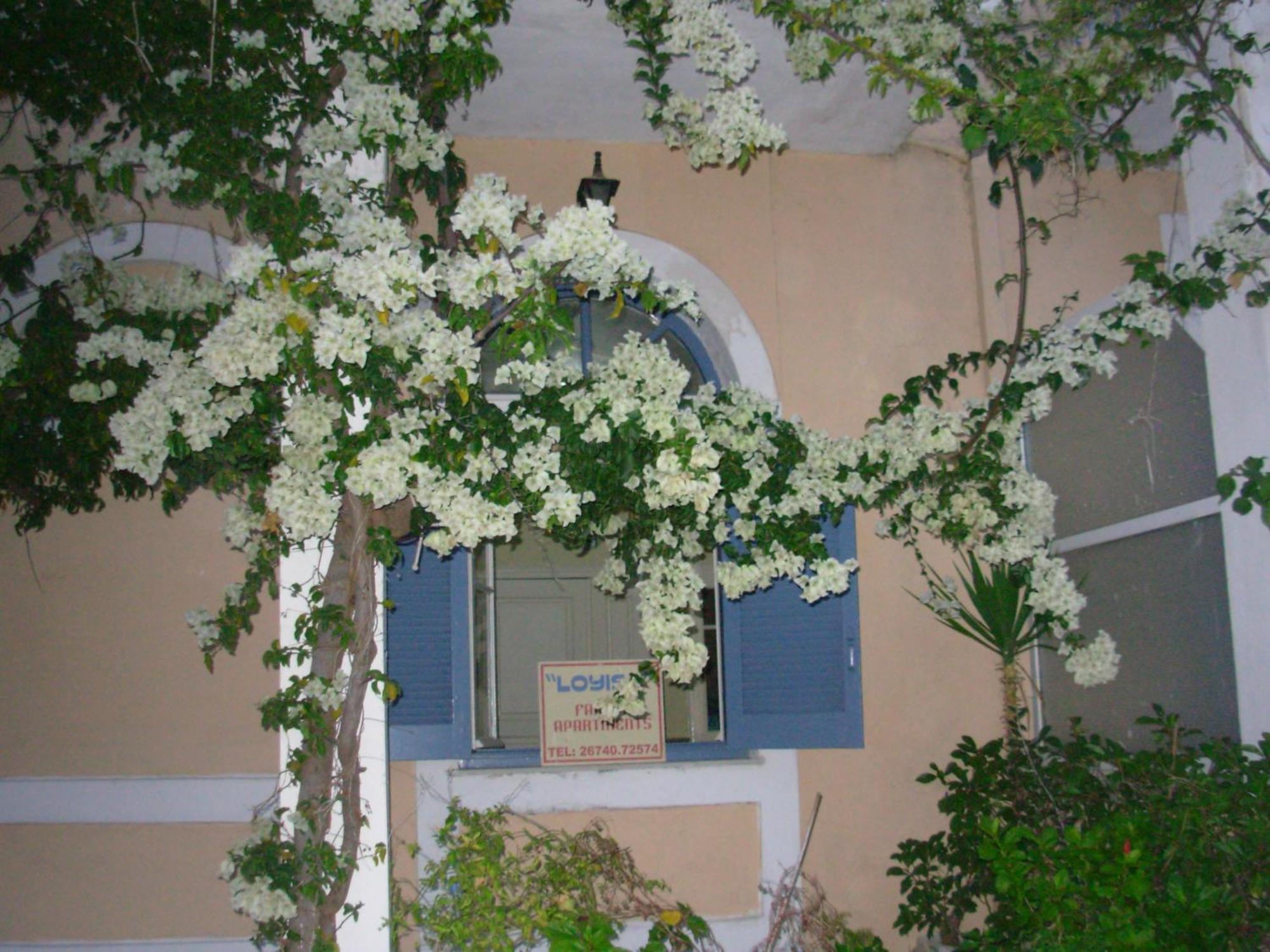 Louisa Studios Poros  ภายนอก รูปภาพ